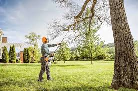 Best Tree Risk Assessment  in Bull Run Mountain Estates, VA